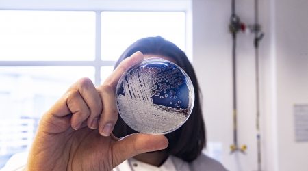 Streptomyces plate