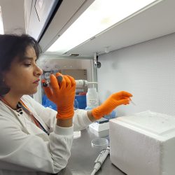 Dr Luisa Jabbur in the lab