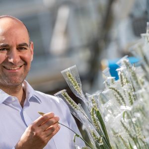 Farmers Weekly Awards 2024 - Game Changer: Prof. Cristobal Uauy, Group Leader at the John Innes Centre located in Norwich, Norfolk.

Cristobal is pictured with his research projects in the glasshouses at the JIC - specifically Cristóbal is the Group Leader in wheat genetics and genomics at the John Innes Centre. His programme focuses on using genetics and genomics to improve both yield and quality components in wheat. His lab uses molecular genetic approaches to identify genes involved in wheat productivity traits and enhance the translation of this knowledge into improved varieties for farmers, industry and citizens. 


Pic by: RICHARD STANTON.
Tel: (01432) 358215 / Mob: (07774) 286733. Email: richard@stantonphotographic.com
All rights 21/06/24, (please see terms of repro use). 
www.stantonphotographic.com
Image is copyrighted - © 2024.