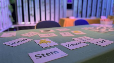 Table top display for Norwich Science Festival
