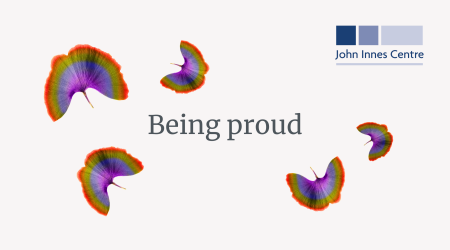 Pride and neurodiversity